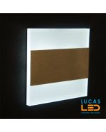 LED Wall / Stairs Lighting -  0.8W - 6500K - 12V / DC - 13lm - IP20 - recessed - LED SMD - decorative - TERRA