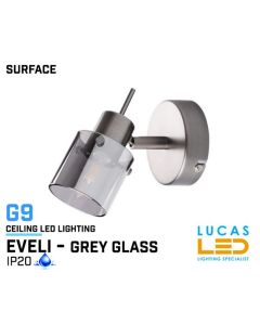 Wall fitting Lights - Surface - Modern &  Decorative Industrial Style Home Lamp EVELI - grey glass lampshades - G9 LED - IP20