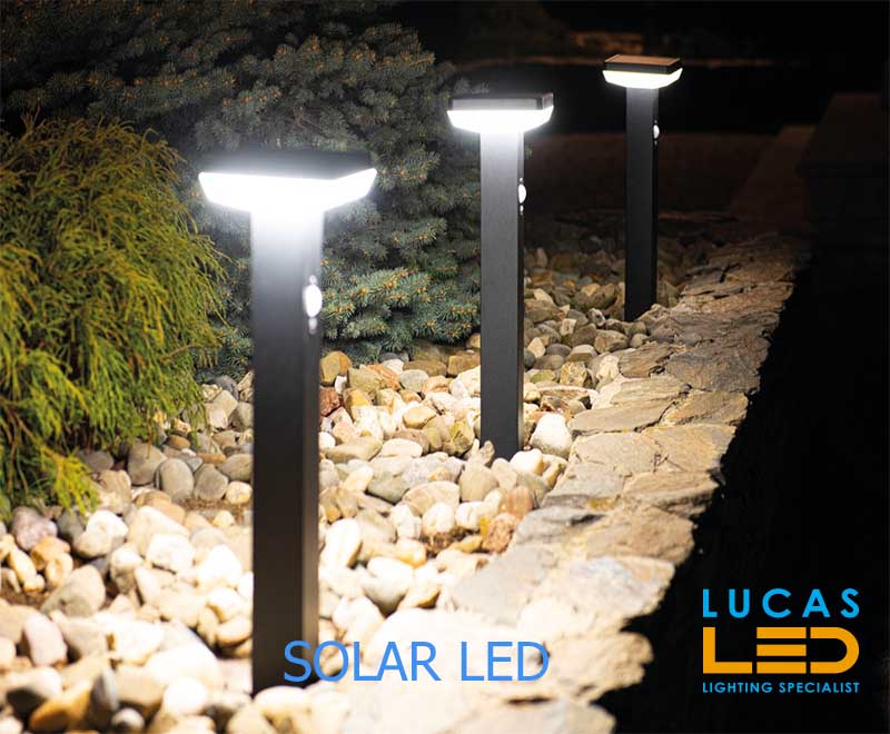PIR Solar LED Bollard/Pillar Light 5W - max 500lm - 4000K - IP44 - LED SMD - SOLCA Round