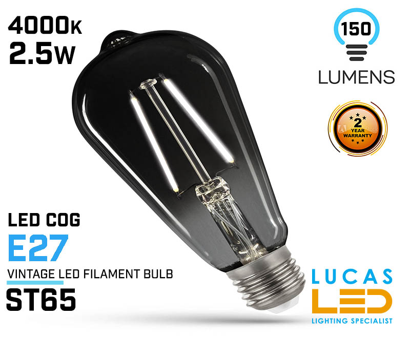 Vintage LED bulb filament light 2.5W - E27- 150lm- 4000K - St65 - LED COG - Edison Modern Smoky Shine